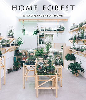 Home Forest