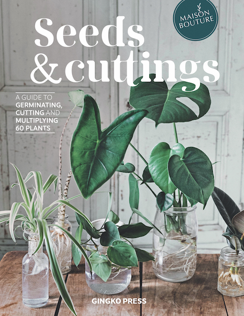 Seeds & Cuttings